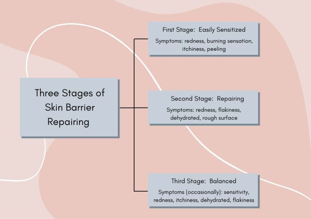 damaged skin barrier stages