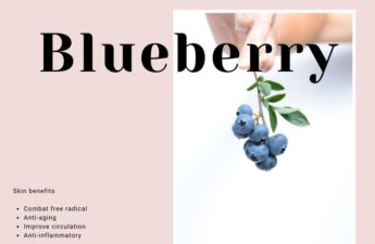 Blueberry—Skin Care Benefits And Products