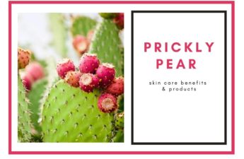 prickly pear for dry skin