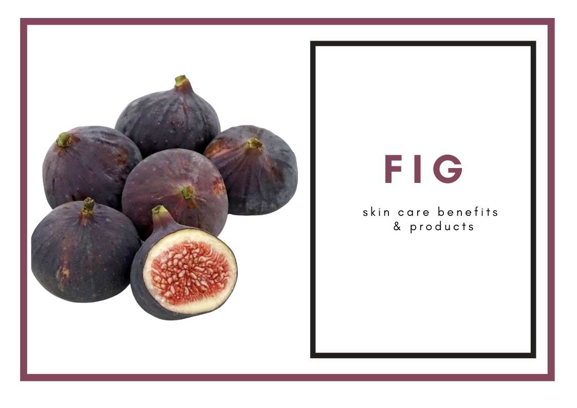 Fig—Skin Care Benefits And Products Dry Skin Advice