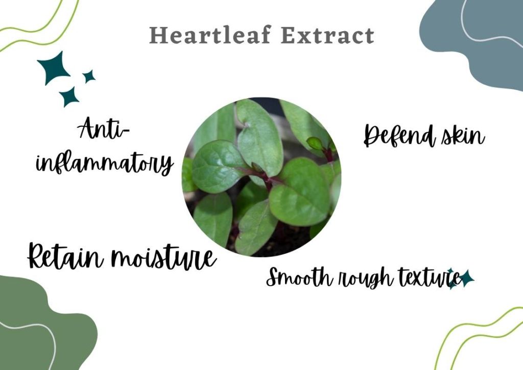 heartleaf damaged skin barrier