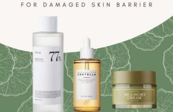 k beauty ingredients damaged skin barrier