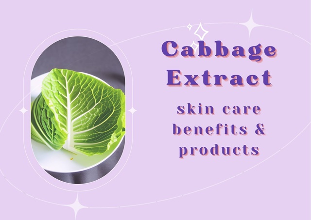 cabbage extract skincare benefits